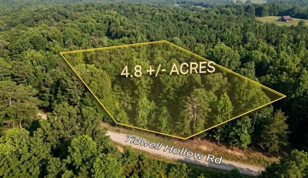 4.80 Acres at 0 Tidwell Hollow Road Tract A