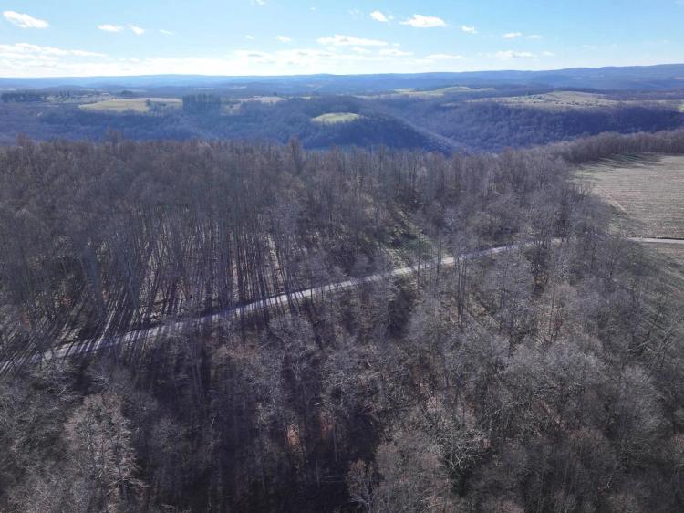 Wooded lots near Yough Lake. Build your dream home or getaway.
