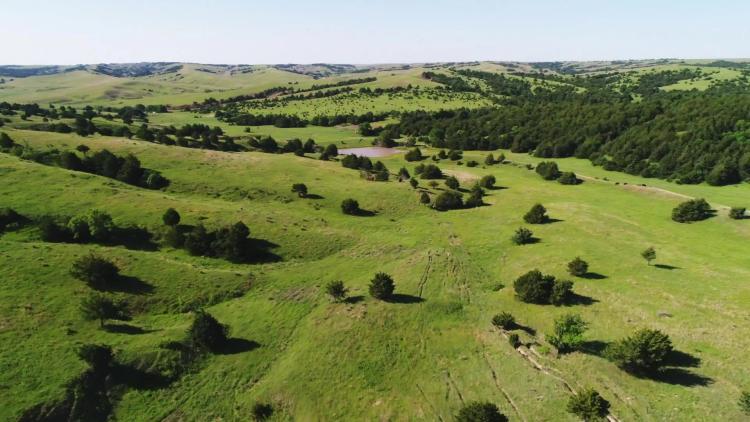660 Acres, Dawson and Lincoln County, Gothenburg Pasture and Wildlife