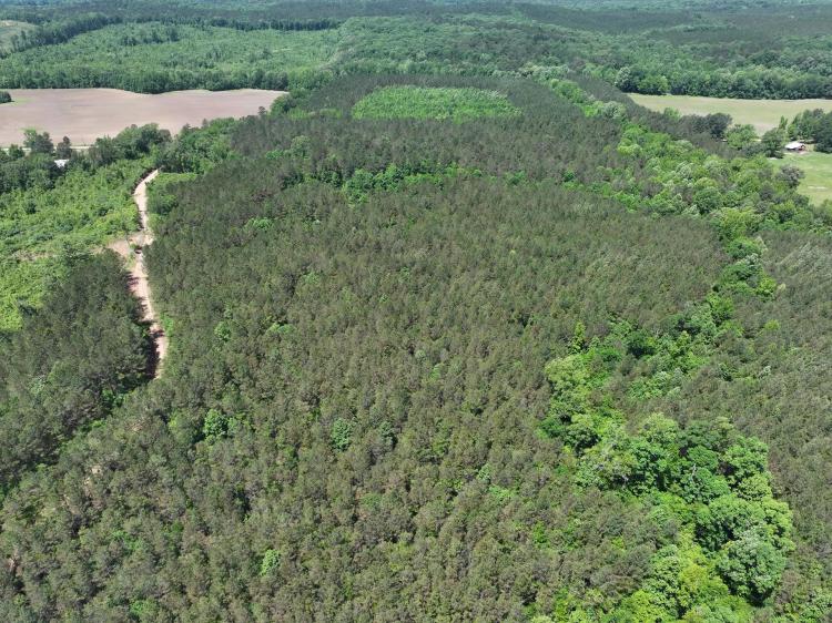 1,117.8 Acres in Calhoun County, MS 