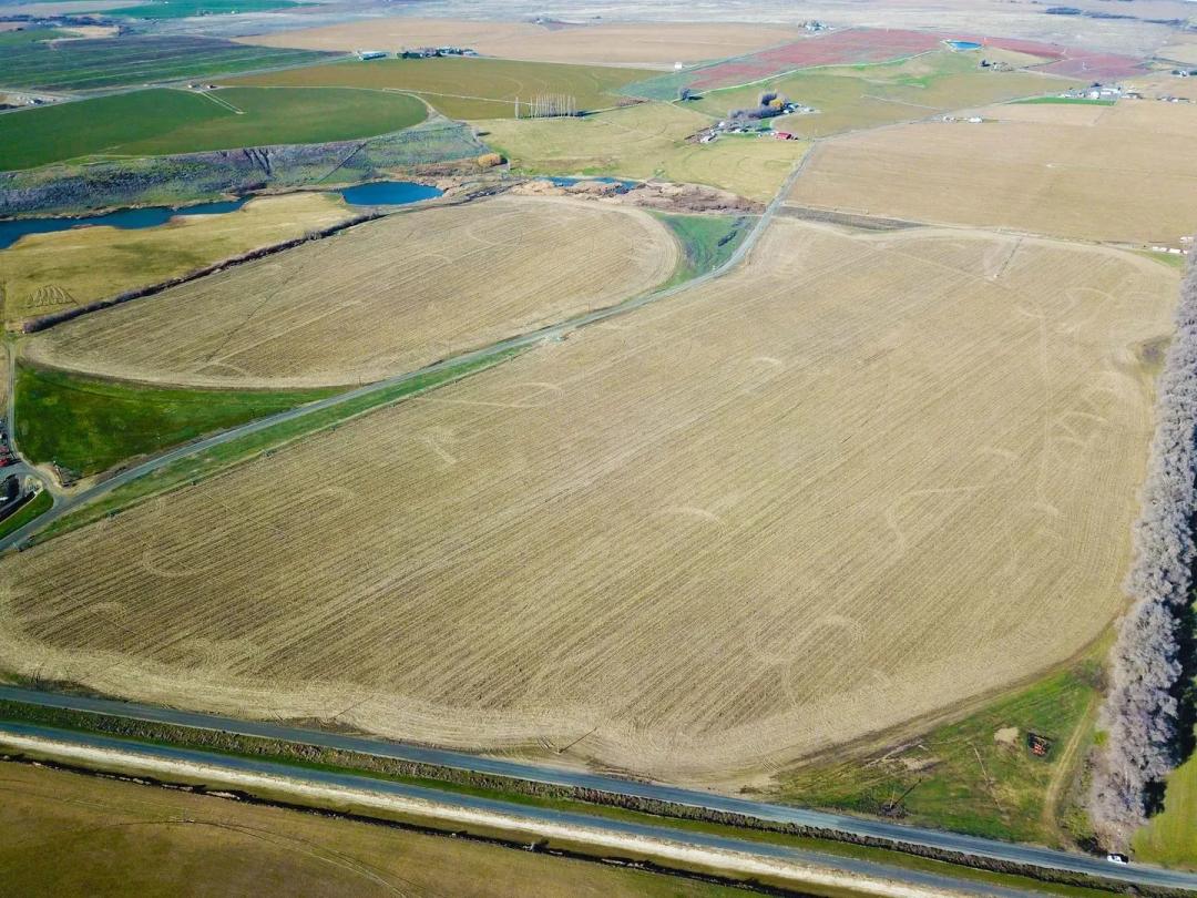 Albany Road pivot farm