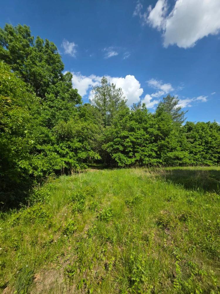 Secluded 15 acres