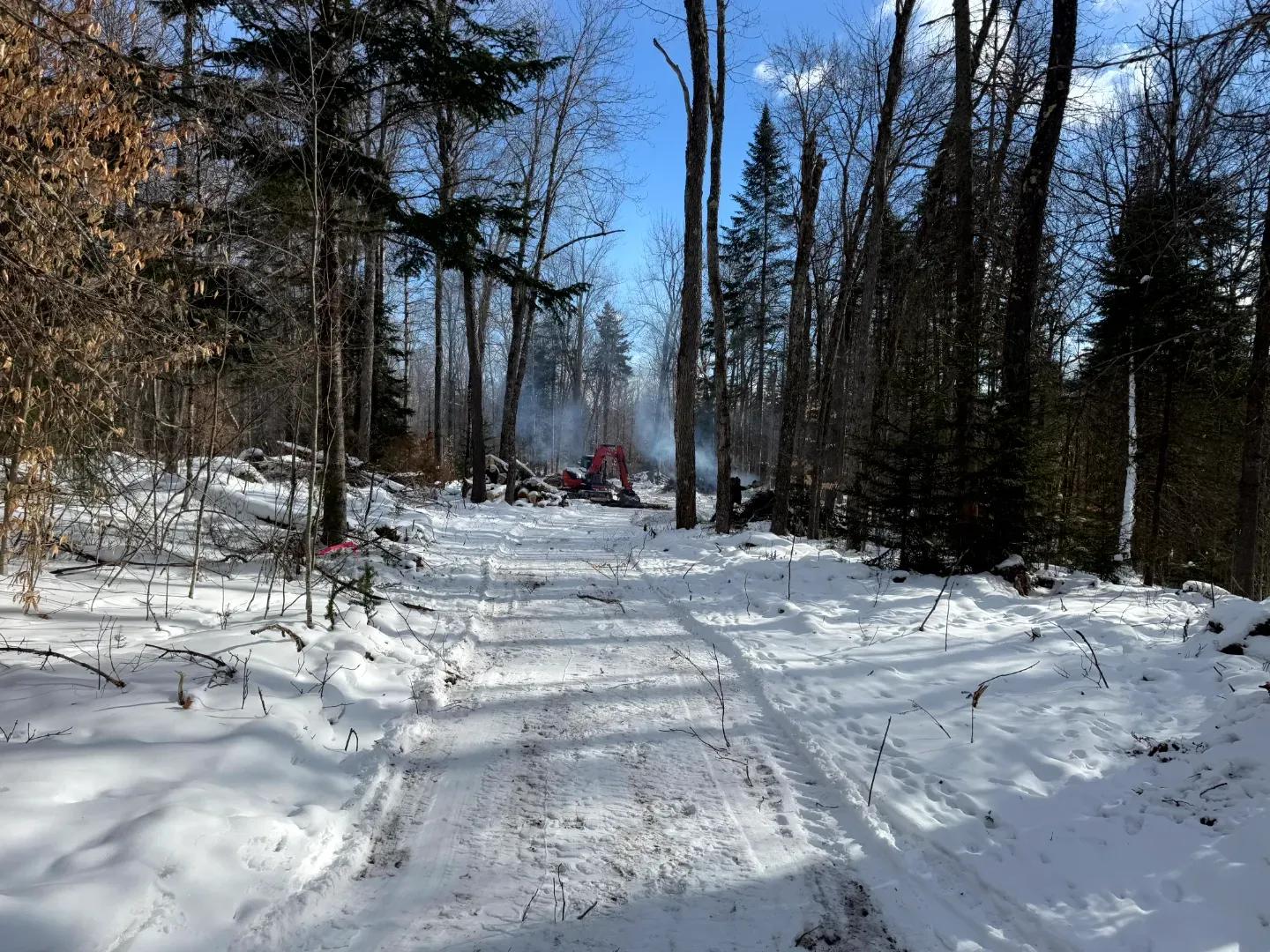 Cedar River Lot 1_11