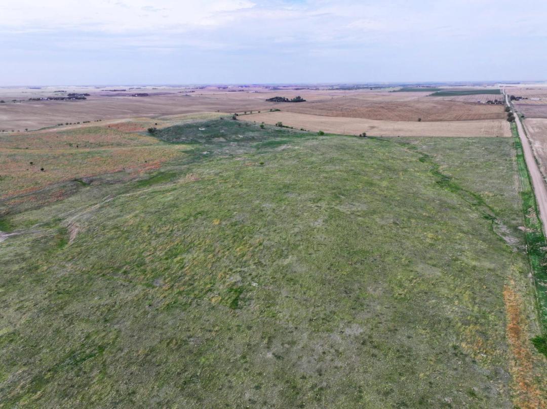 316 Acres, Buffalo County Pasture and Dryland