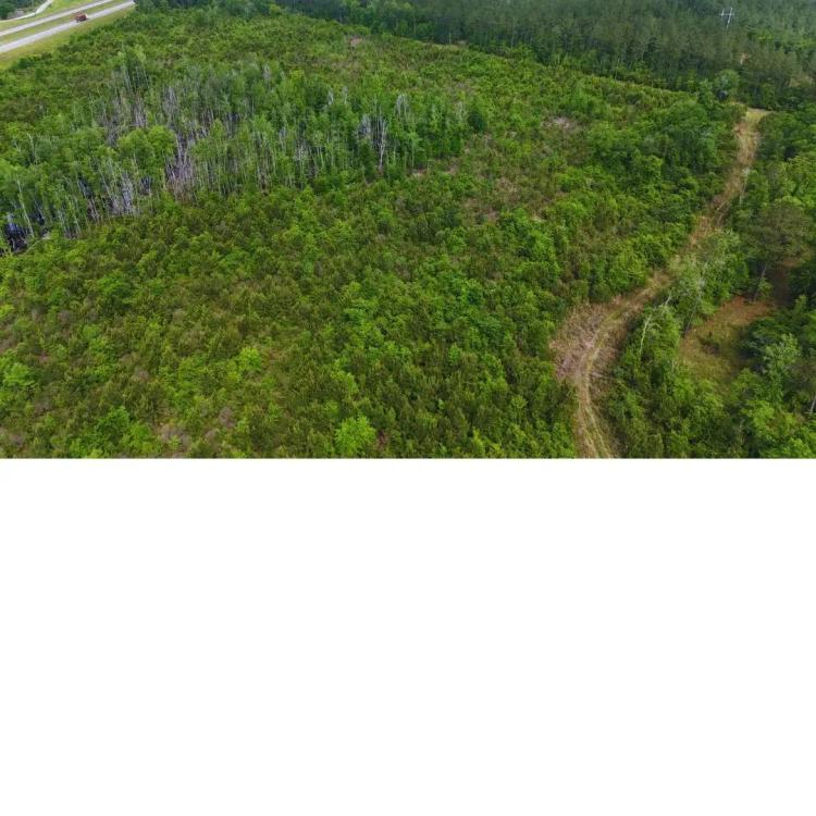 61 Acres in Greene County in McLain, MS