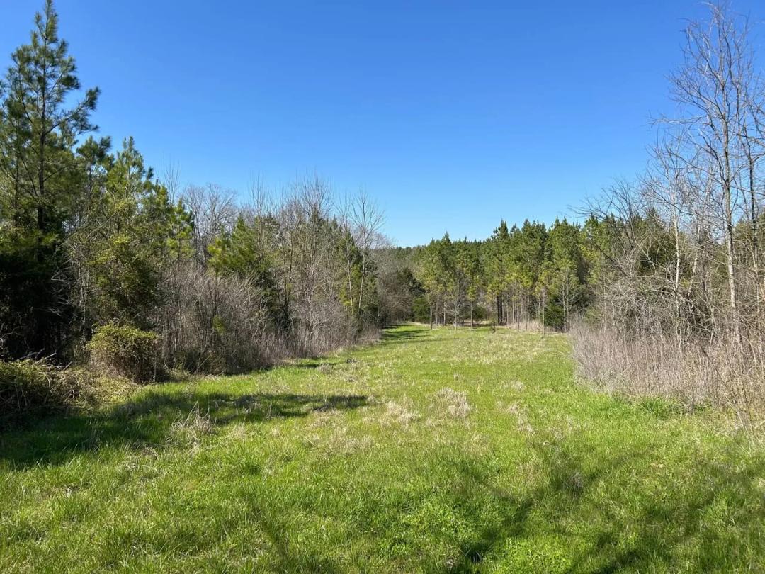 Black Prairie Hunting and Recreation 160