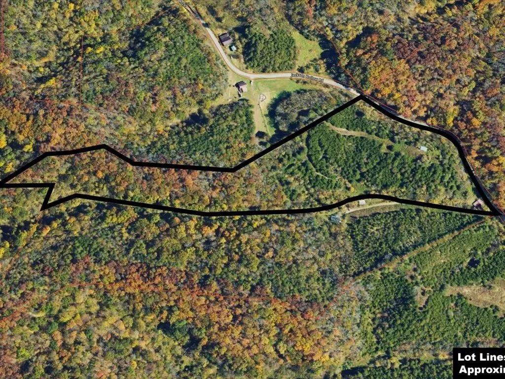 7377094-19