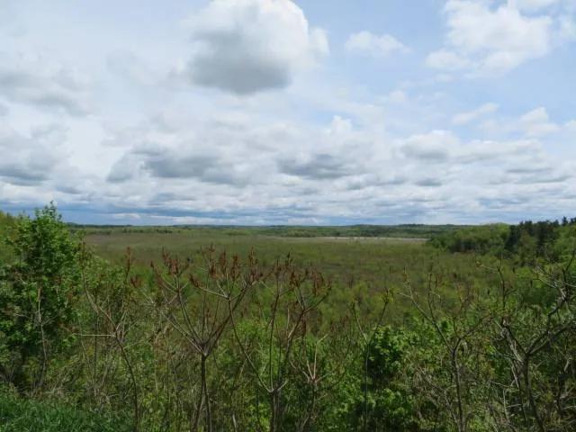 DRIVE TO BREATHTAKING VIEWS OFF YOUR OWN ROCK VISTA
