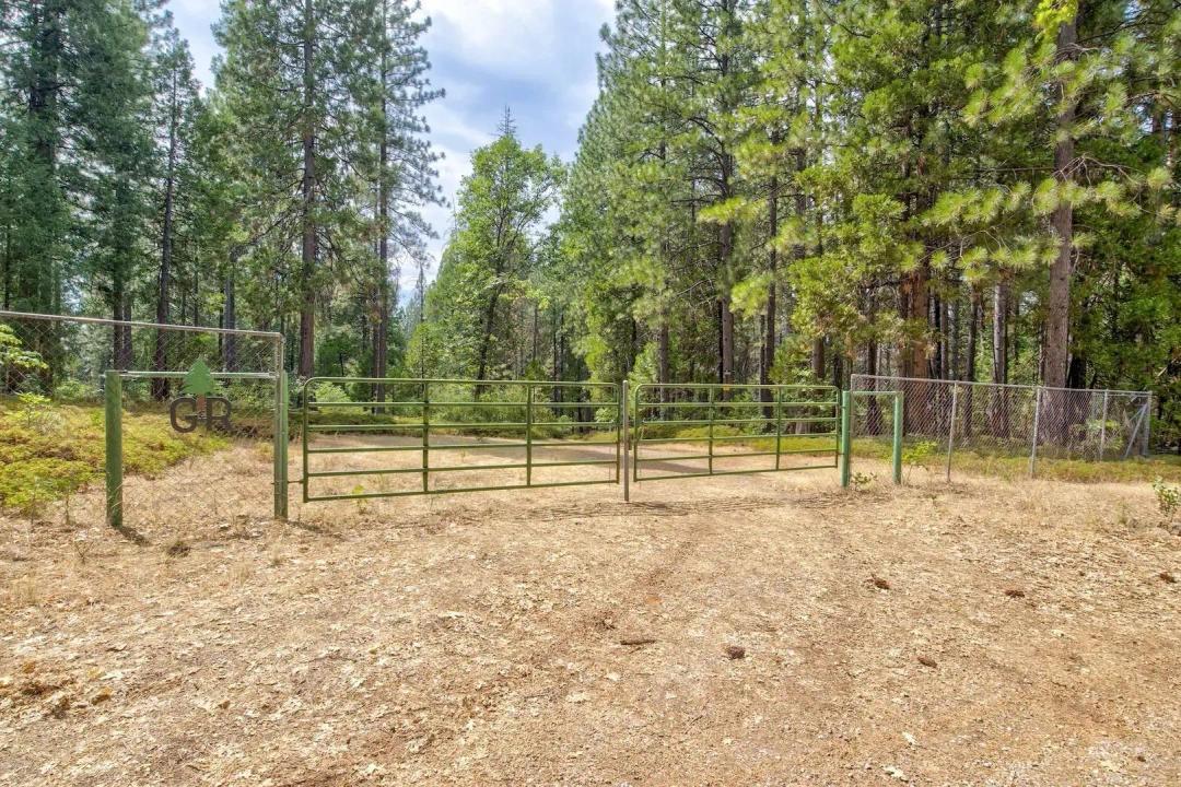 Whispering Pines