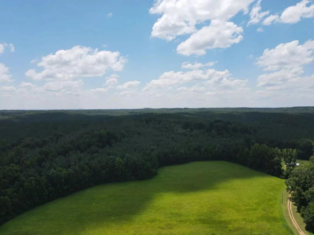 48 Acres in Lafayette County, MS 