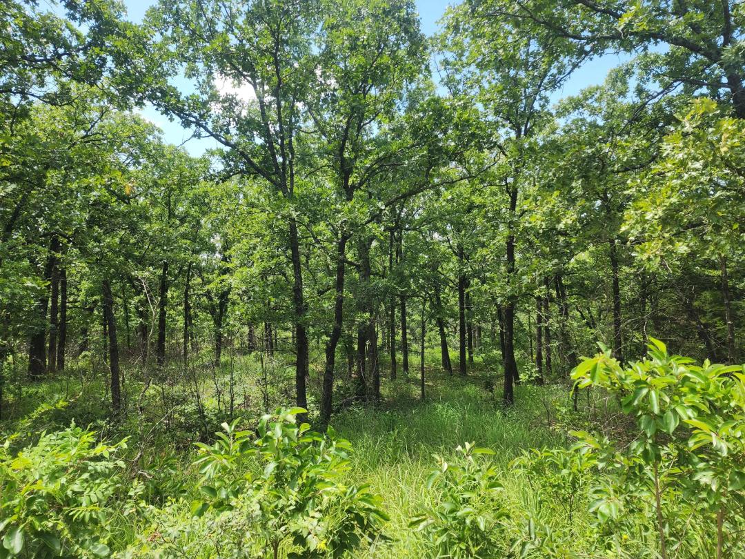 Hughes County 6.49+/-acres