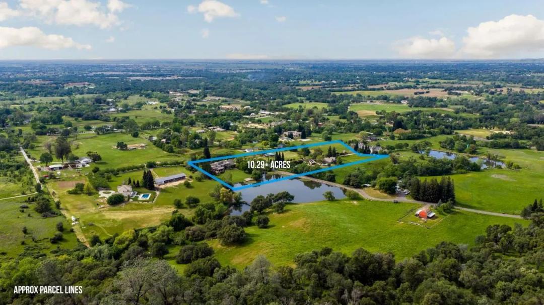 Luxury Equestrian Estate