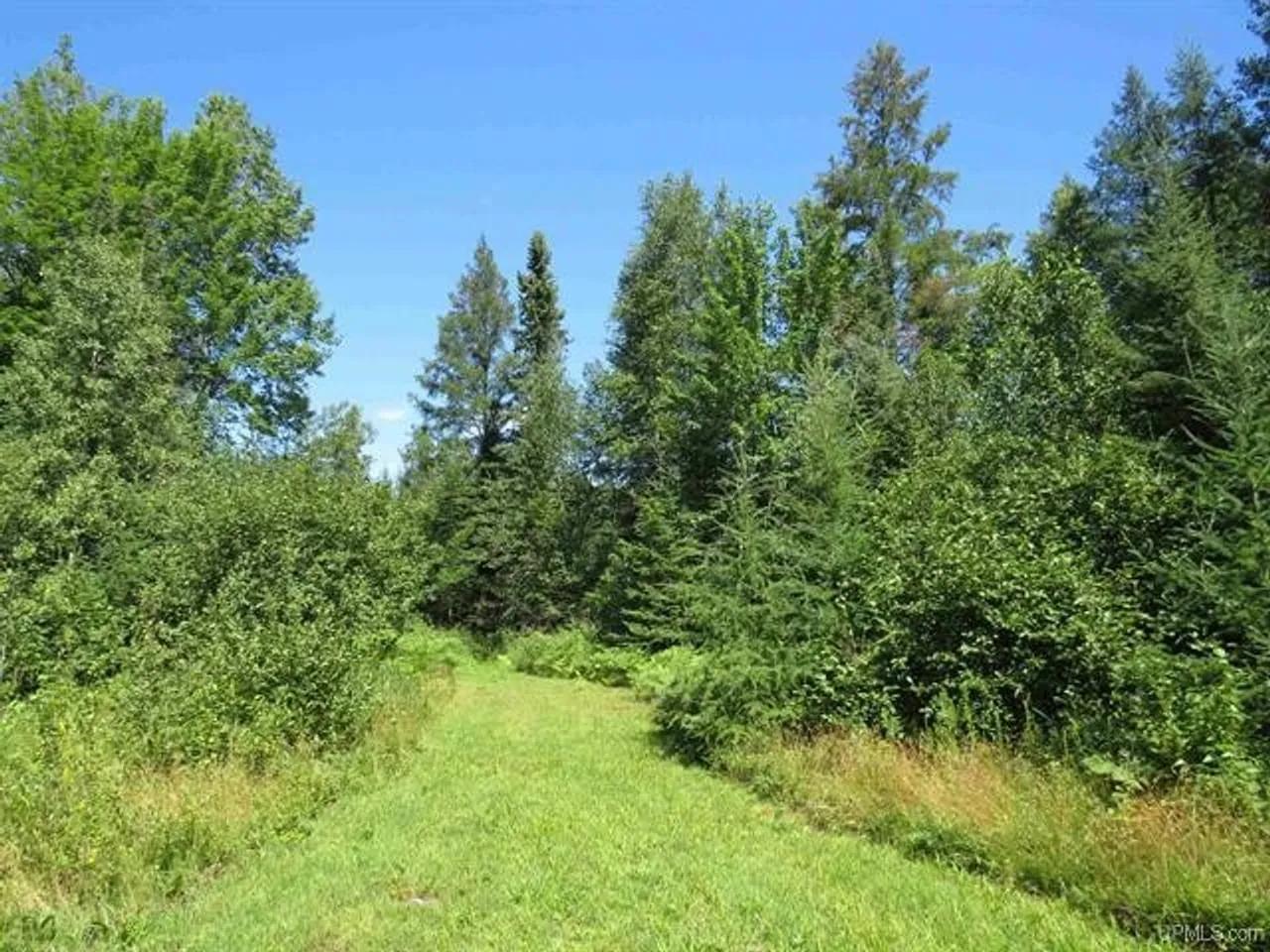73833694-18