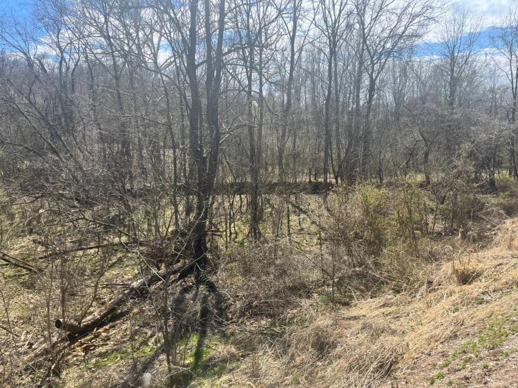 0.79+/- Acres in Jackson Co.