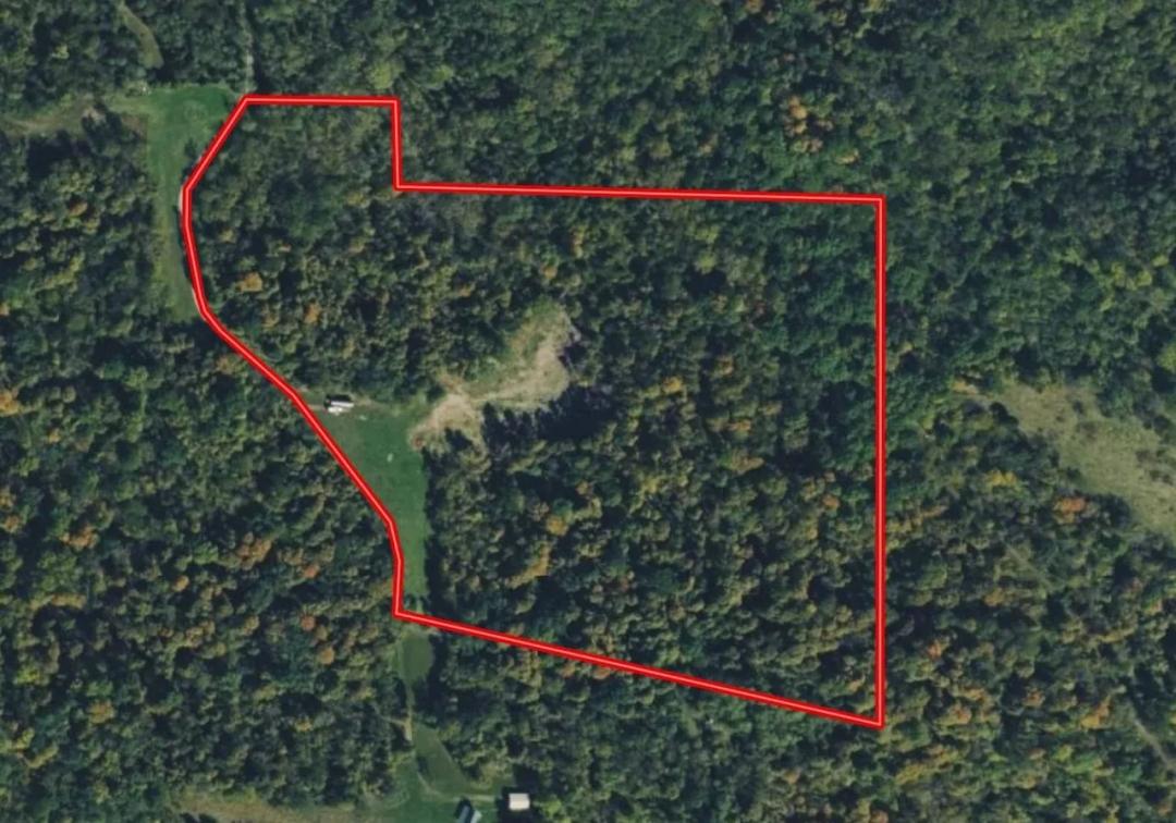 30+/- Acres Hunting / Recreation / Weekend Retreat