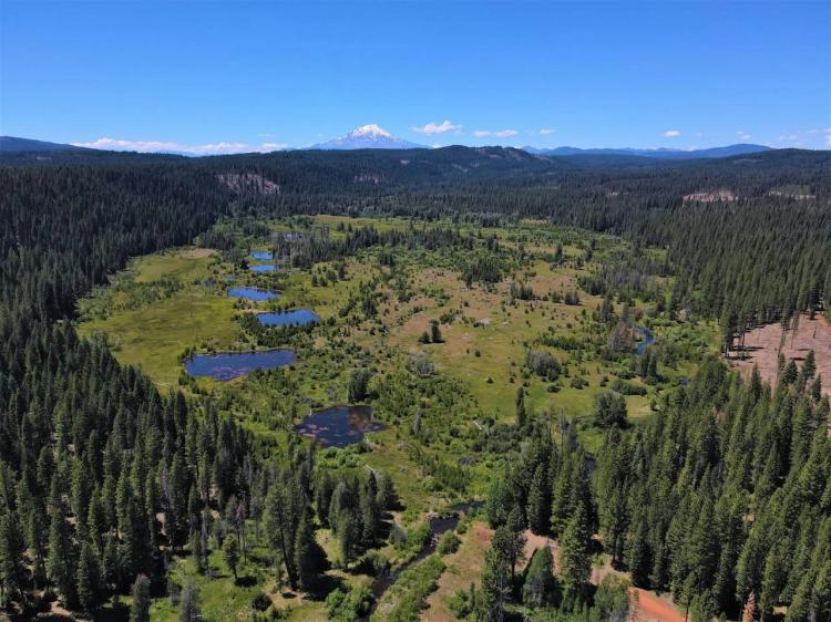 Bear Flat Meadows