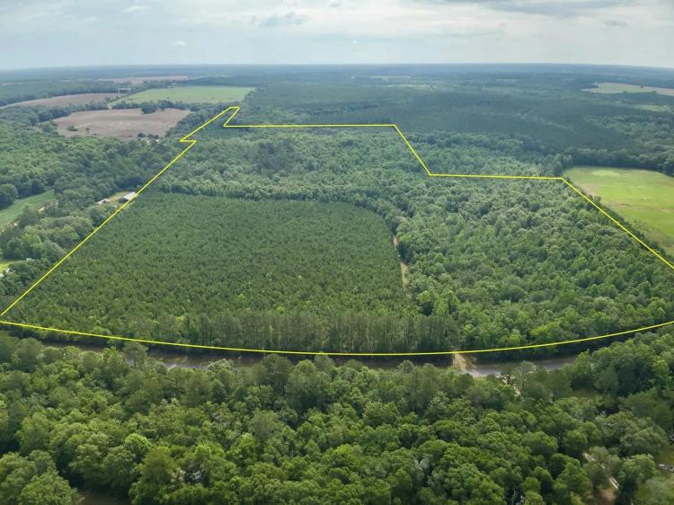 87-Acres of Hunting Land in Bonifay, FL for Sale