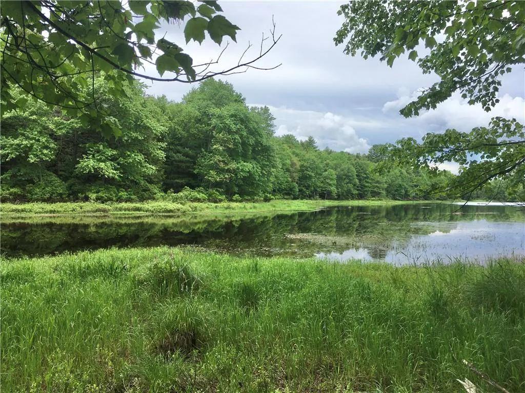 2 Beautiful parcels with Lake Access in Bethel, NY