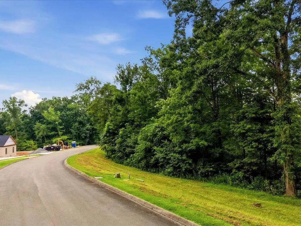 Cherokee Lake Access Lot