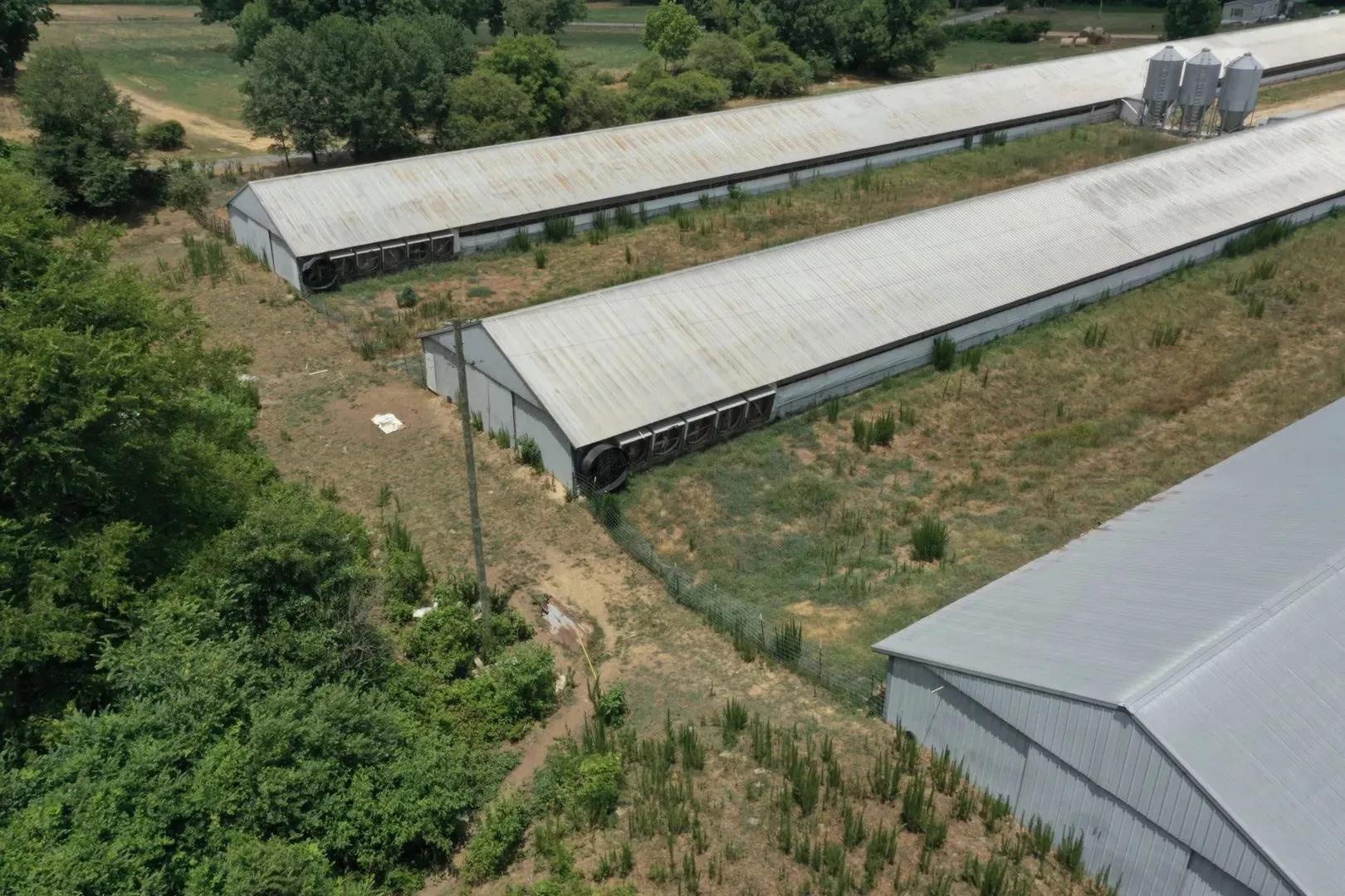 73913494-3