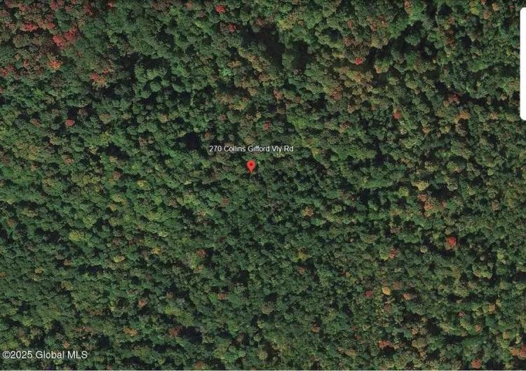 208.55 Acres at 270 Collins Gifford Valley Road