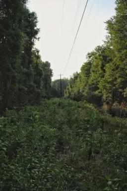 73926411-15
