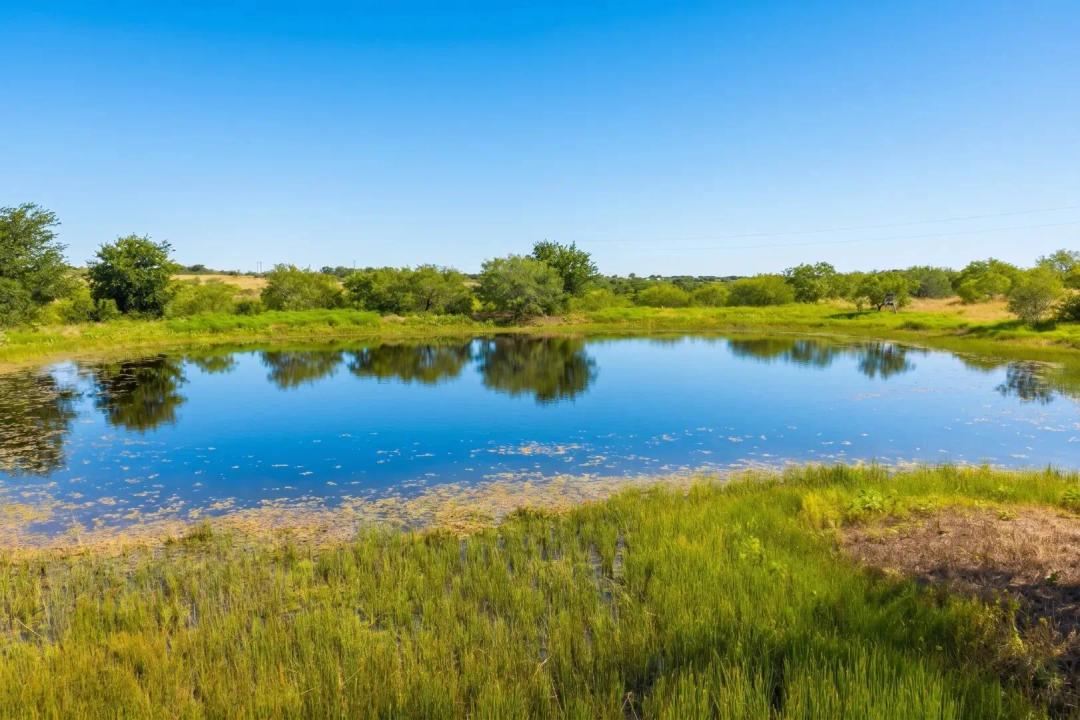 101 Acres in Buckholts, Water, Views and Wildlife 