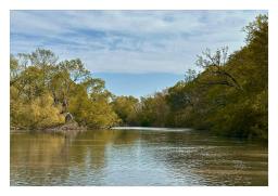 muddy water_Images46