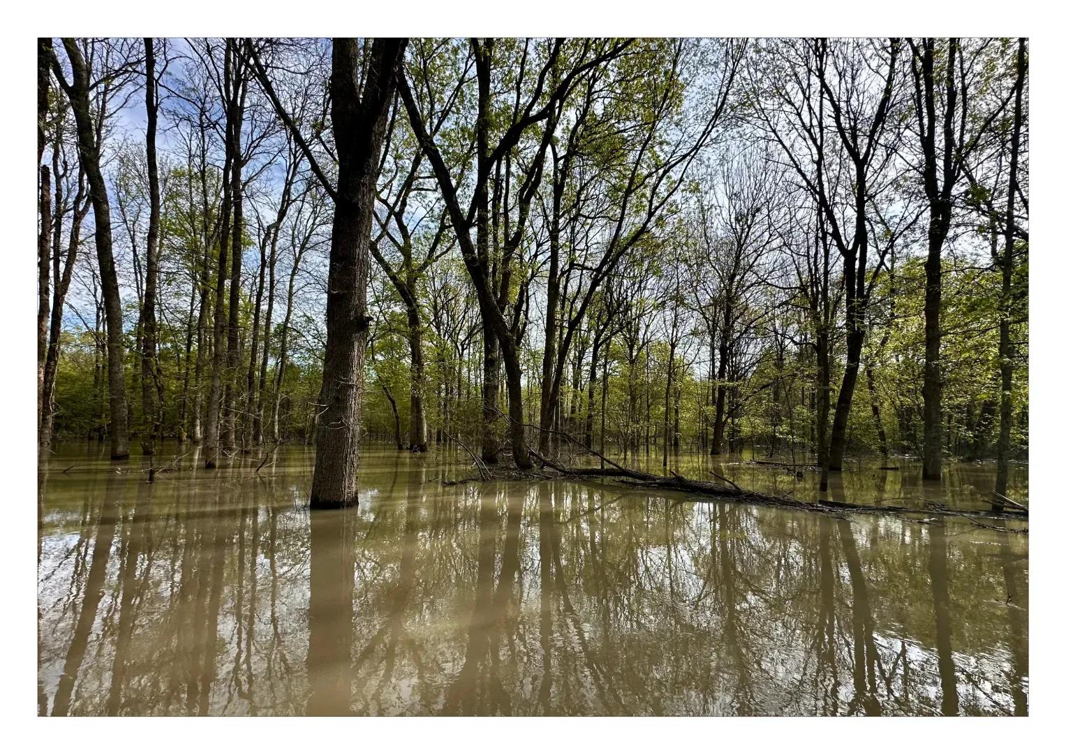 muddy water_Images51