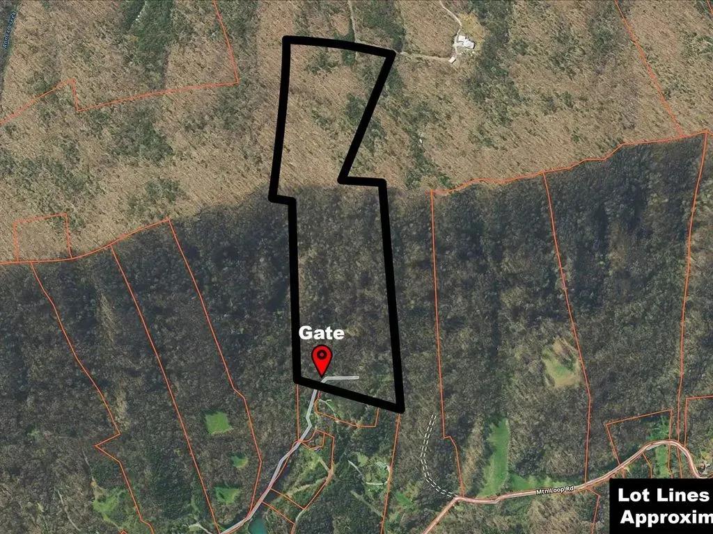 73952428-1