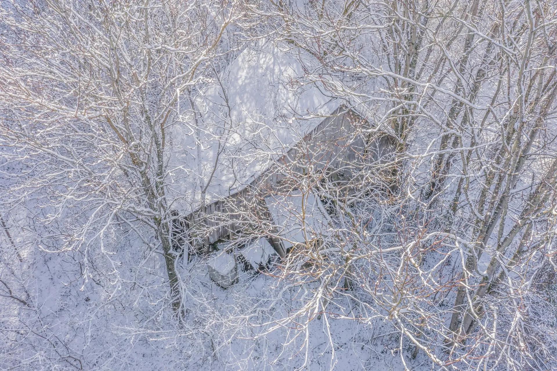 73952428-13