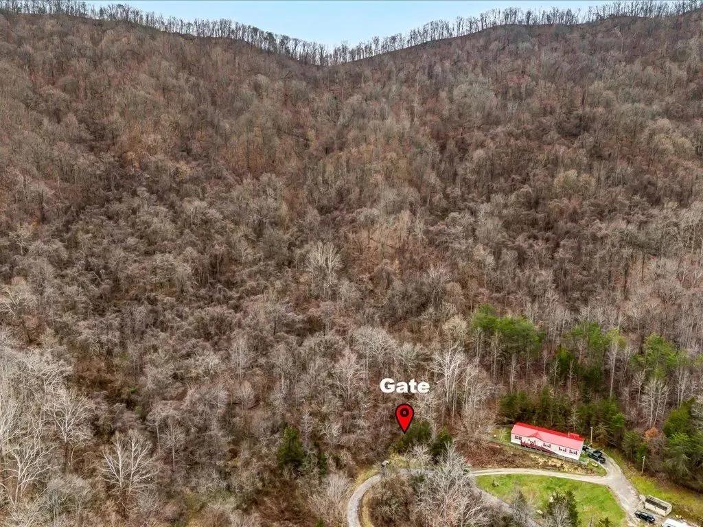 73952428-8