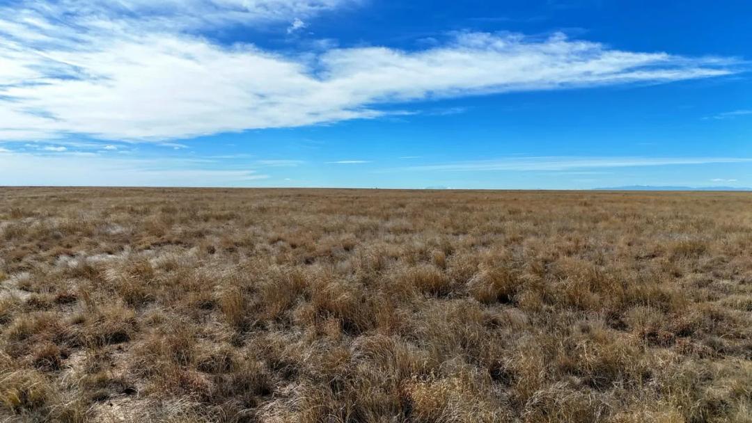 Large CRP Parcel with Good Annual Income