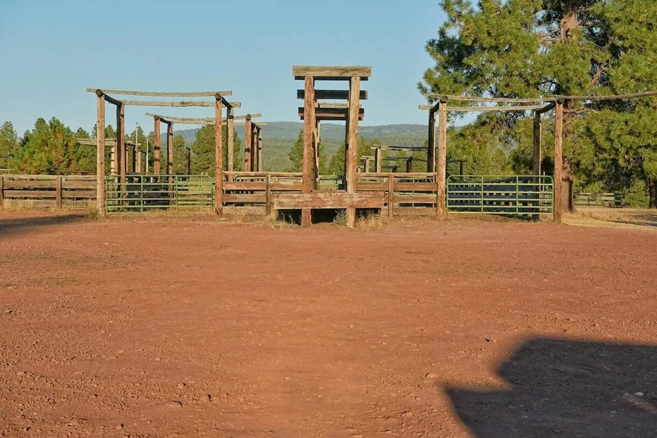 74028566-113