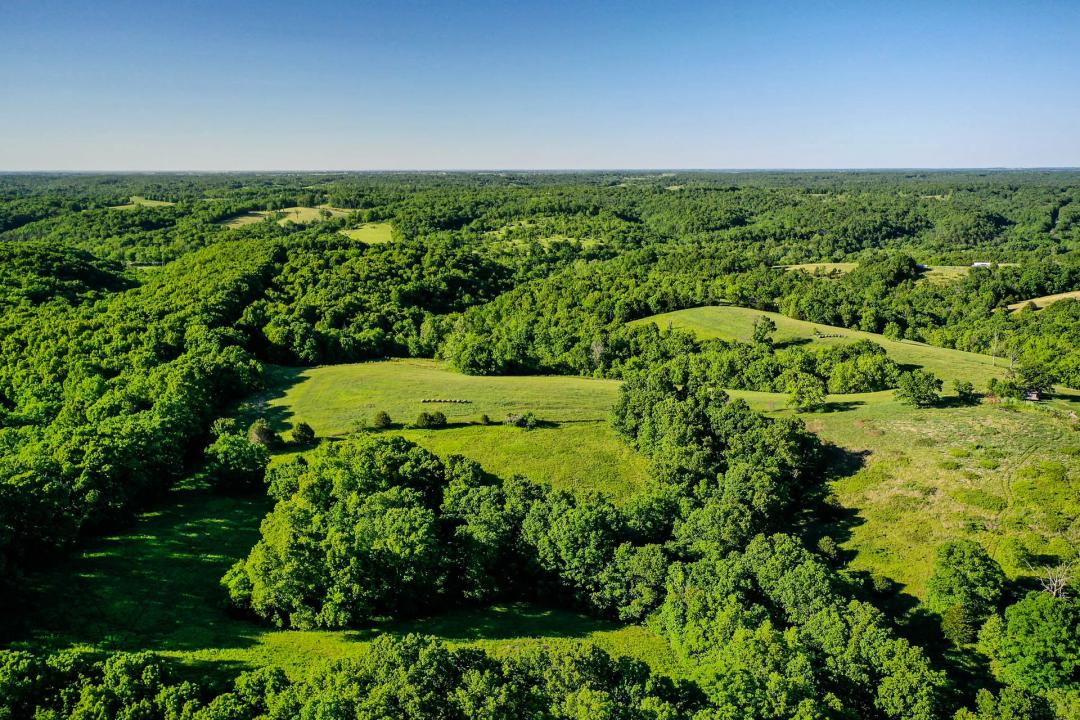 Thomas Hollow 50