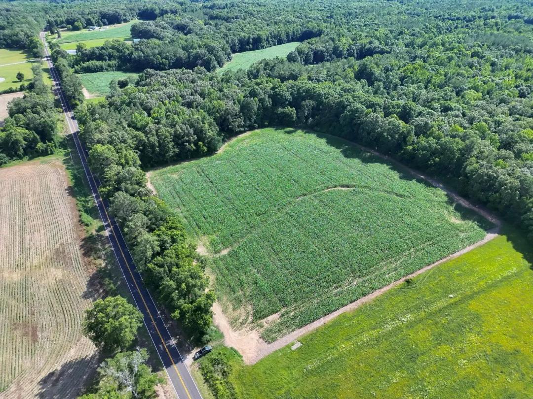 14.98 Acres in Hardeman County, TN 