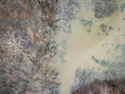 74053775-19