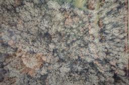 74053775-6