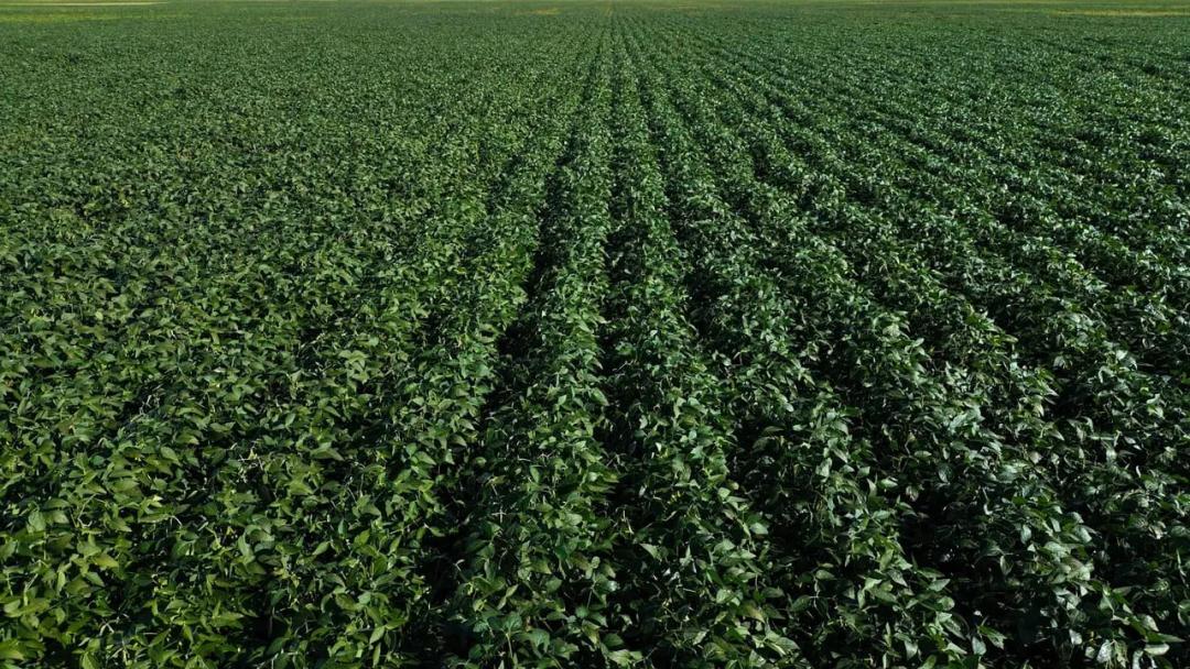 Marshall County, SD 400 Acres