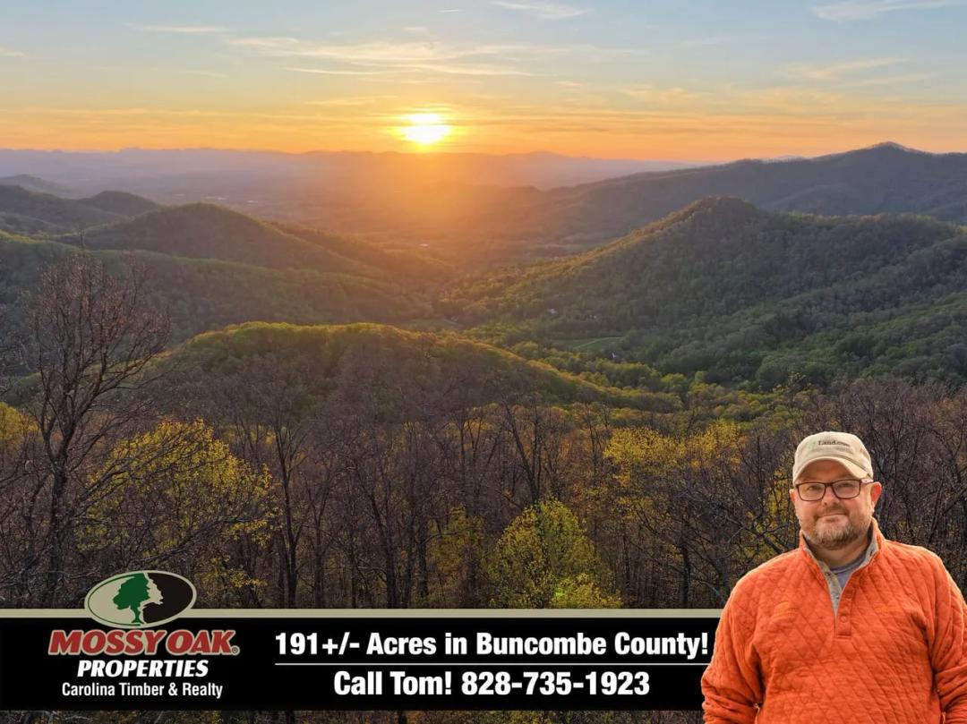 191+/- Acres Bordering U.S. Forest Service in Weaverville NC!