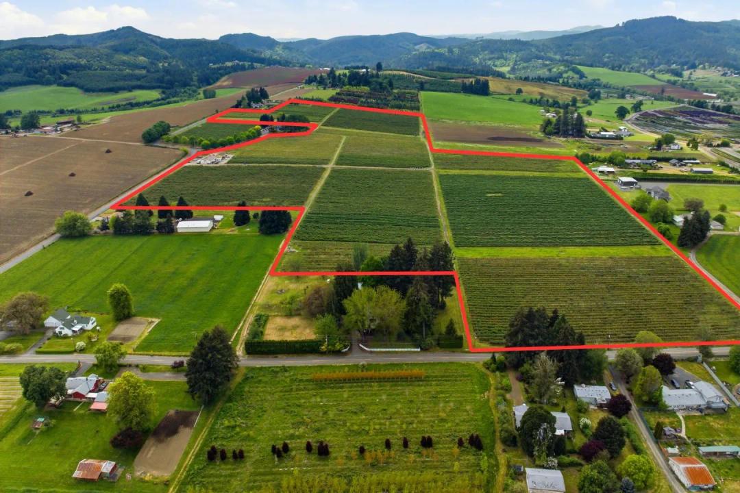Established Blueberry Farm Near Forest Grove