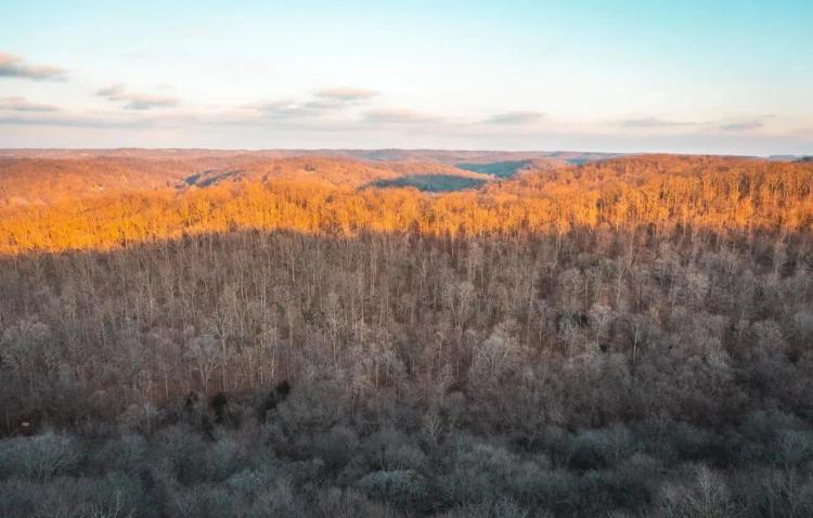 House Springs Hollow