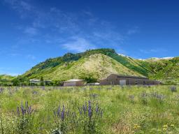 img_Wright-Spring-CMP