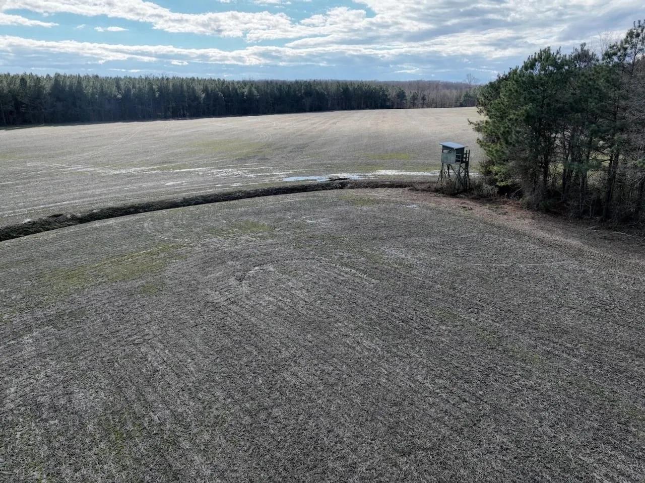 74173254-11