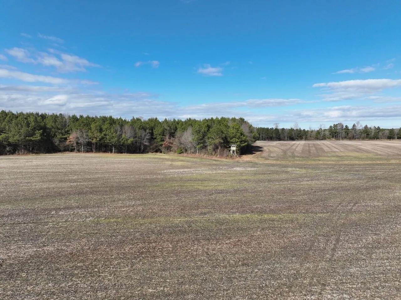 74173254-24