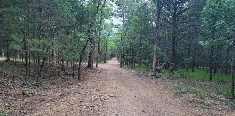 THE VIEWS BY SARDIS LAKE Tracts 1 & 2