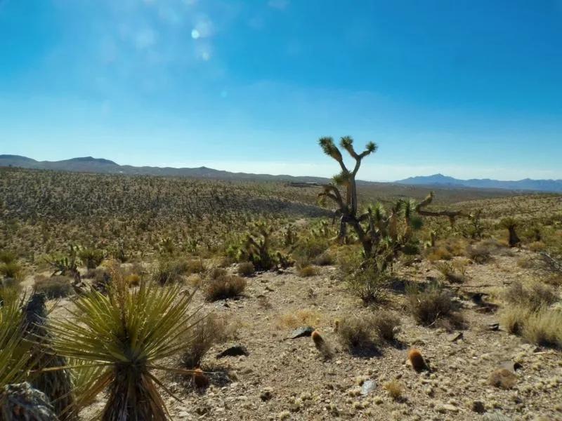  Vibrant Lake Mead City Mohave Arizona 1.25 Acre Lot 299 