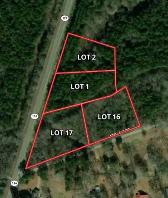 4 lots fronting Hwy 129 &amp; Tew Lake Rd.