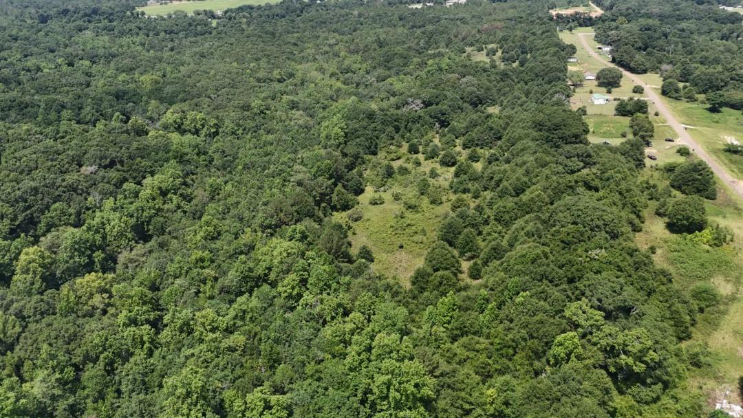56 Acres ( Tract 3 ) - Troy - Pike County