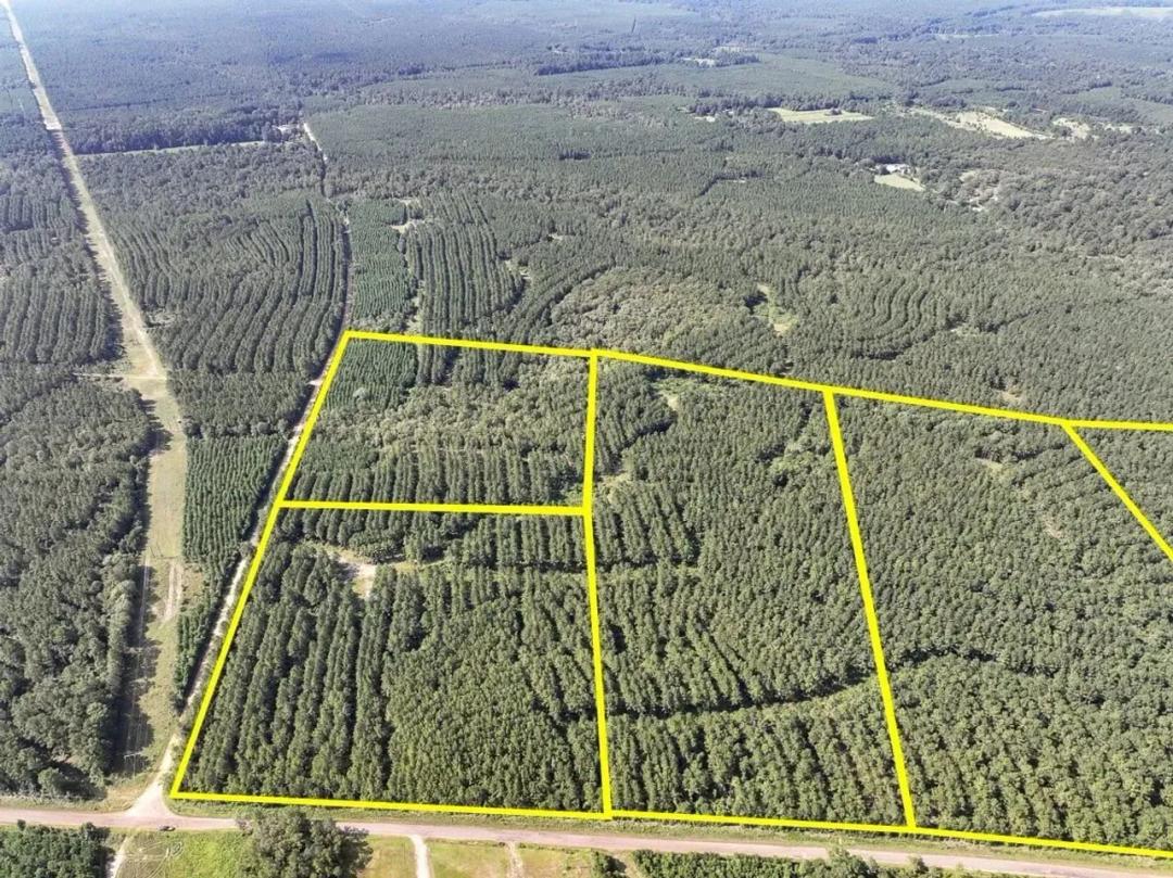 23 Acres | CR 1325 | T-4 | 285007